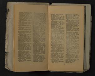 Zur Seitenansicht 110