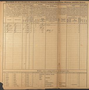 Zur Seitenansicht 294