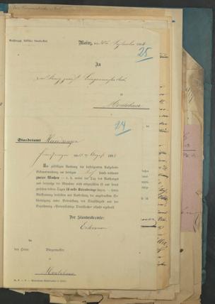 Zur Seitenansicht 35