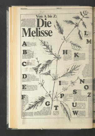 Zur Seitenansicht 192
